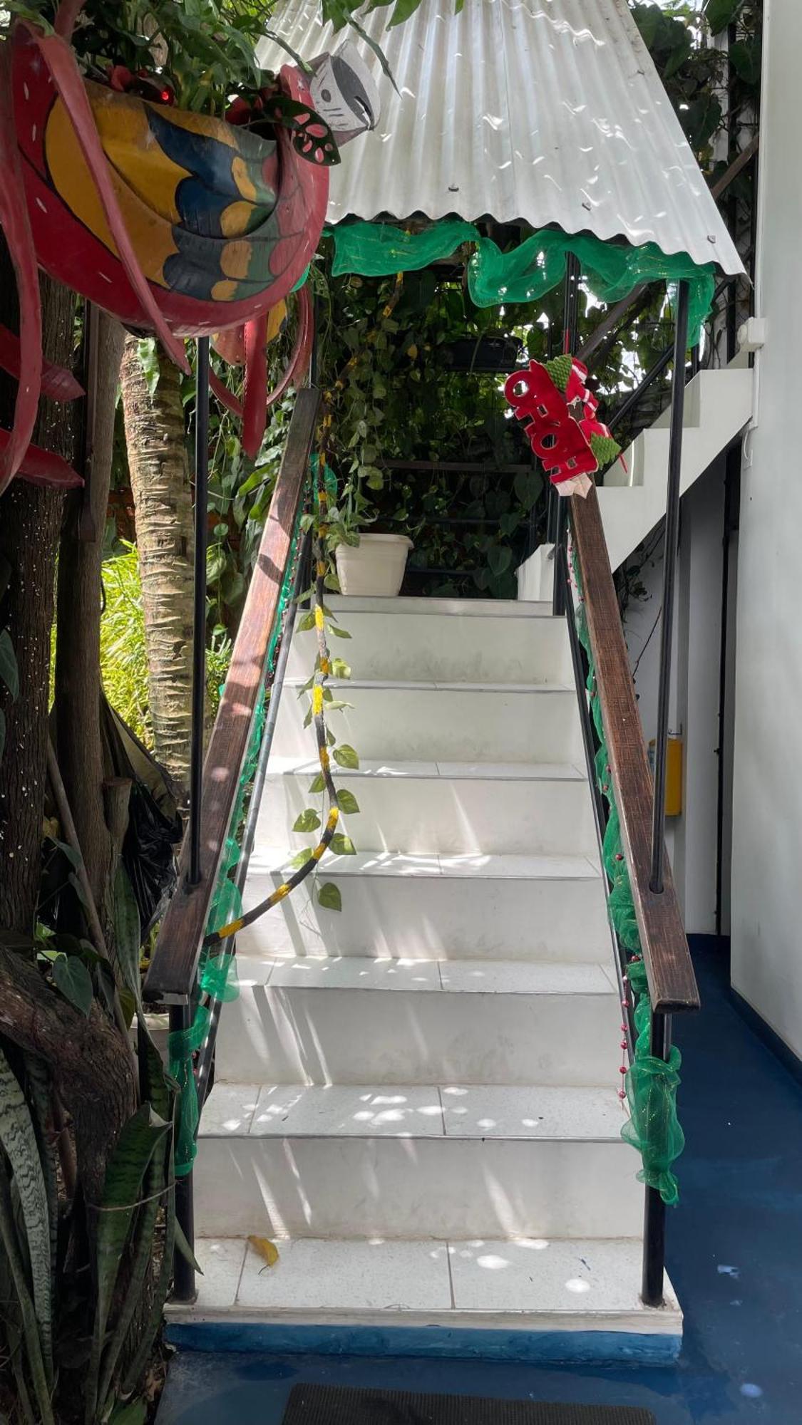 Hotel Gavas Amazonas Leticia Exterior photo